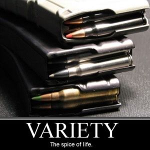 Meet your Posher, Renegade